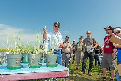 Agronomy tour