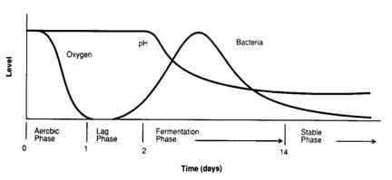 Ensiling process