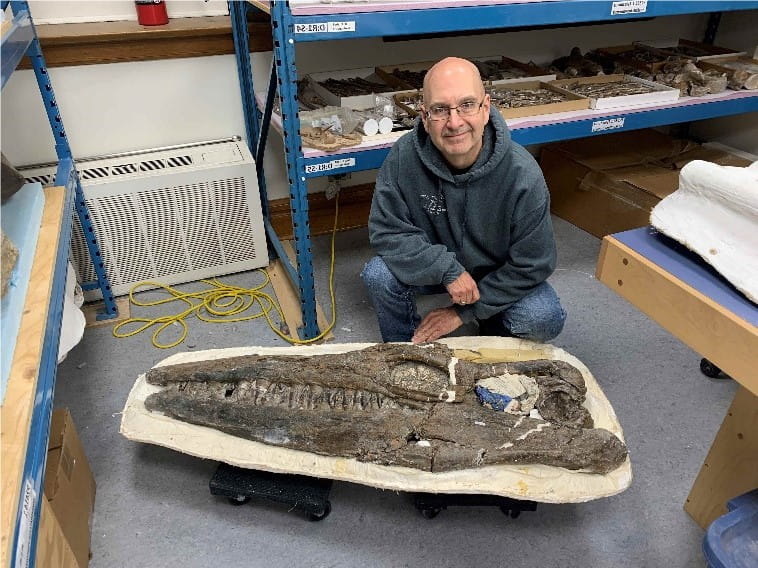 Une personne se tenant au-dessus d’un grand fossile.