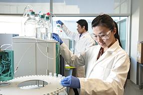 17-work lab